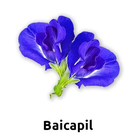 Ingredient 1