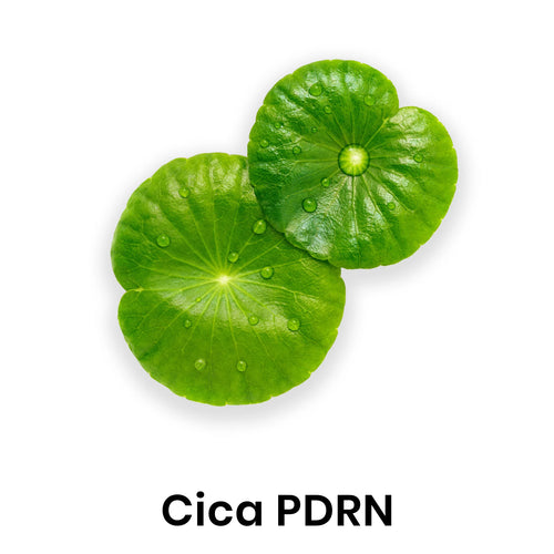 Ingredient 4