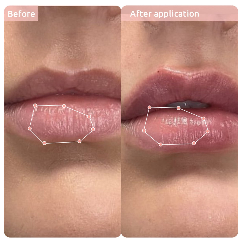 WishCare Head To Toe SPF50 SunCare Trio