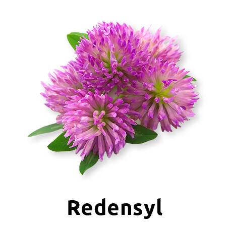 Ingredient 4