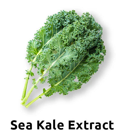 Ingredient 5